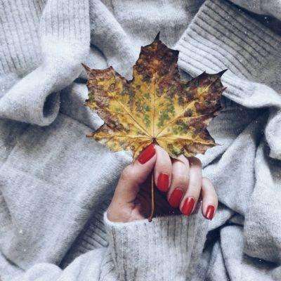 必博手机网页版下载手机版截图