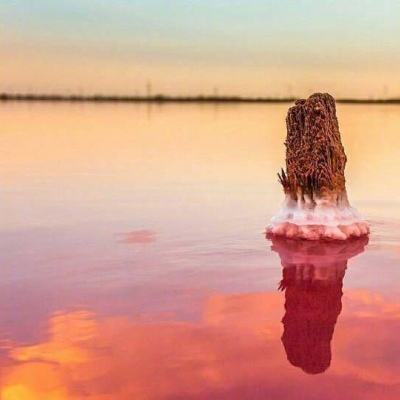 赛博体育手机app下载