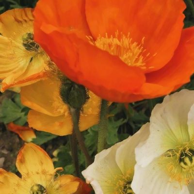 kaiyun电竞入口app下载