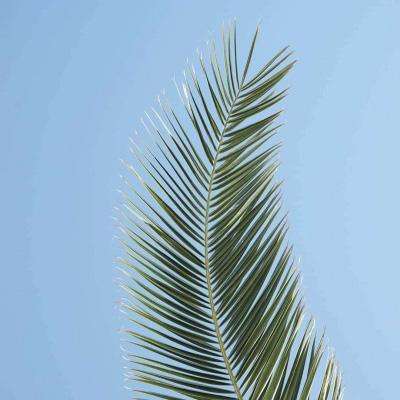 幸运快3在线官网官网网站