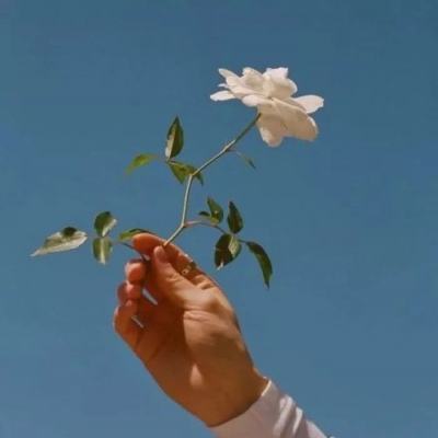 皇冠app下载官网下载