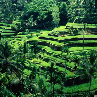 快3平台官网app下载