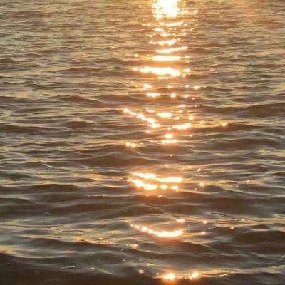 博盈娱乐手机app下载截图